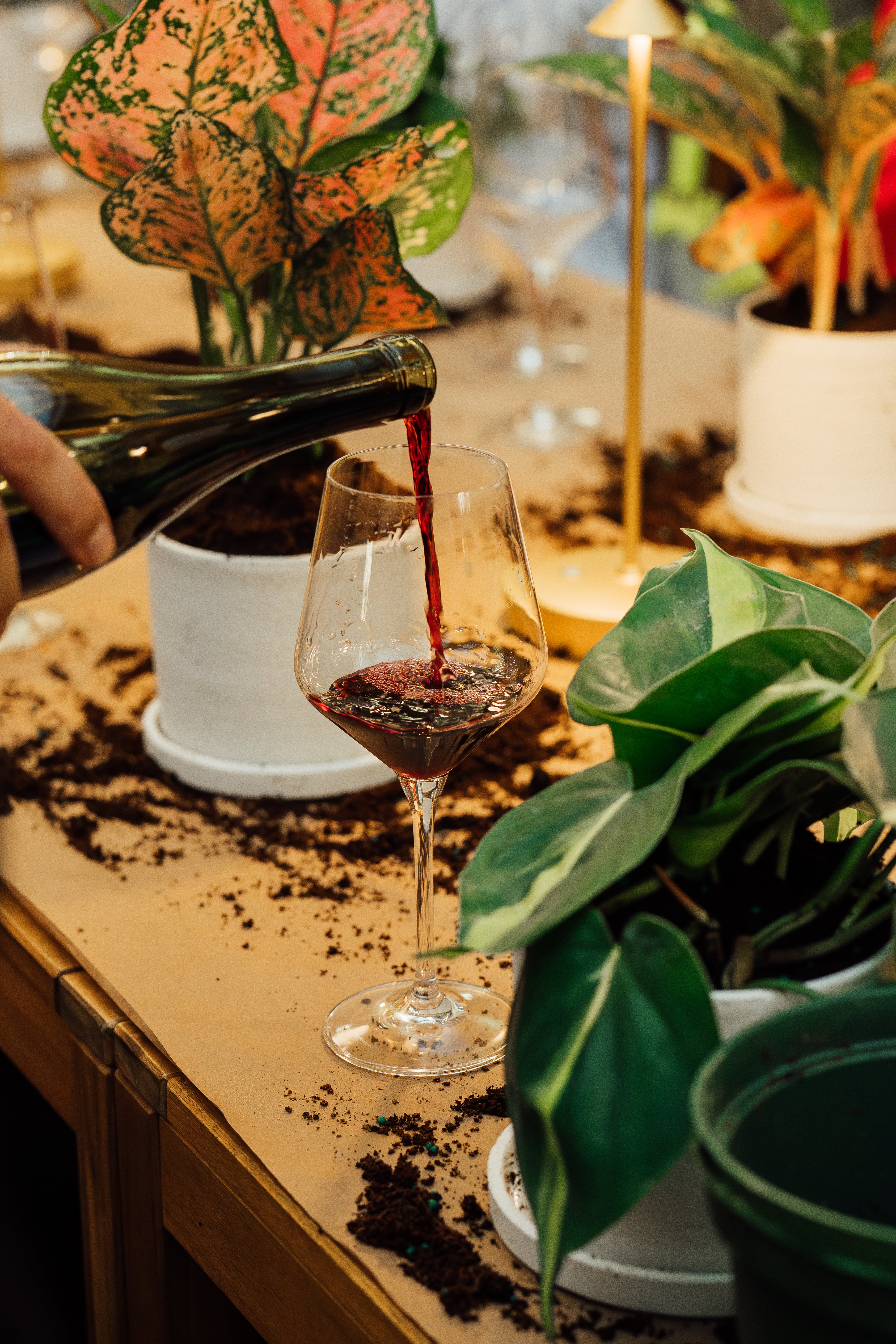 Sip & Plant 10.25